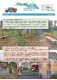Hartheimer Gemeindeblatt Hartheim am Rhein, Wöchentliche Ausgabe